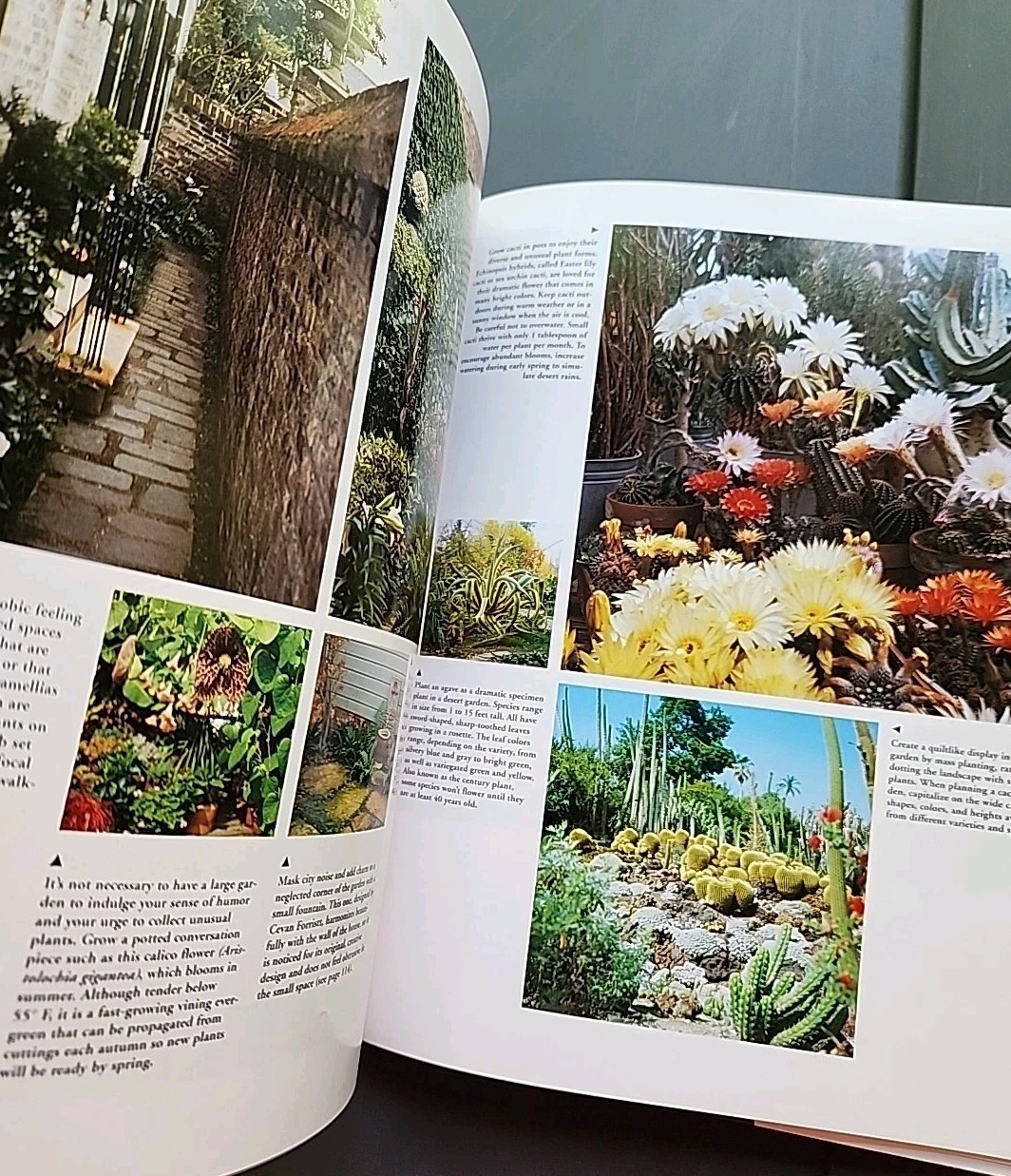 550 Home Landscaping Ideas by Catriona T. Erler. Hardcover 1991
