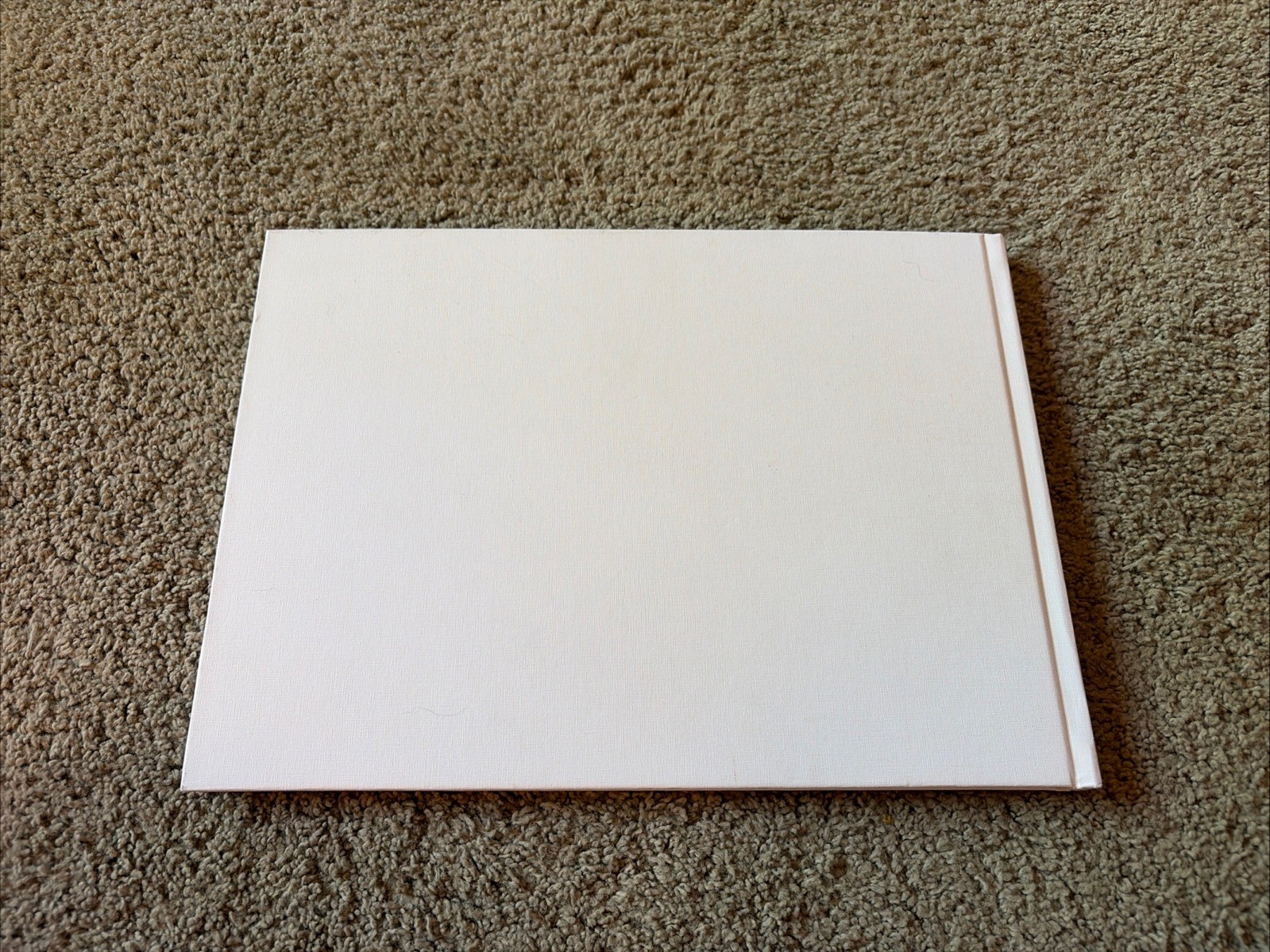 David Byrne Voyage Of Discovery Who Is The Sky VIP Merchandise Book Only
