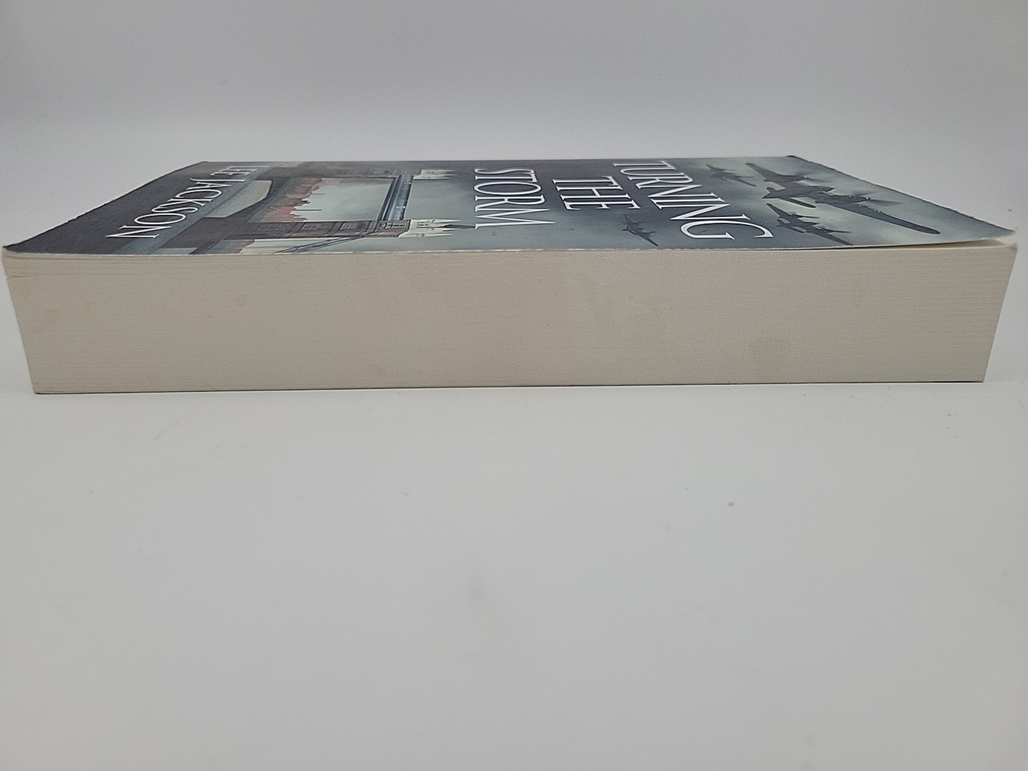 Turning the Storm By Lee Jackson (Paperback)