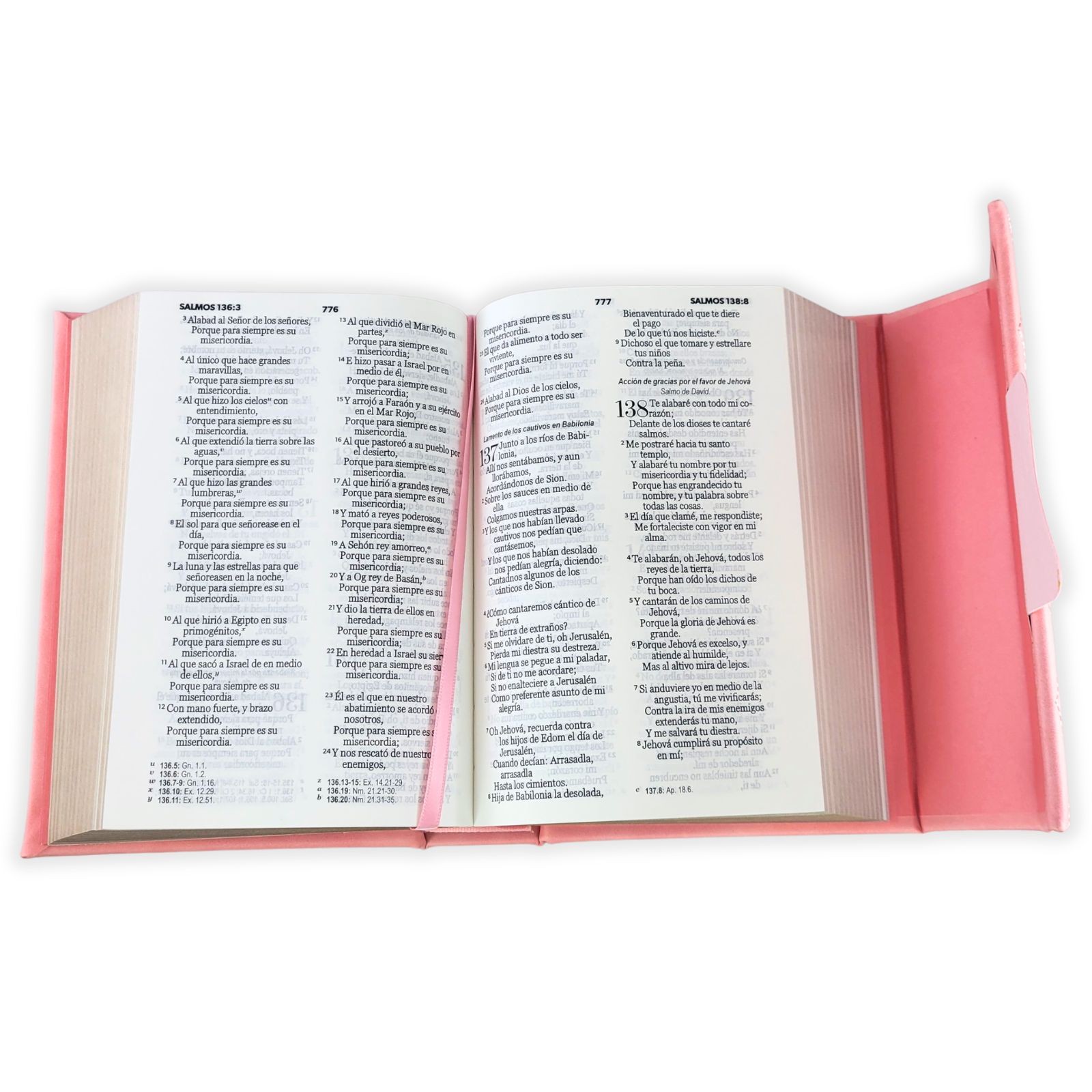 Biblia Cartera con Broche Magnetico y Asa de Mano RV1960 imit piel coral