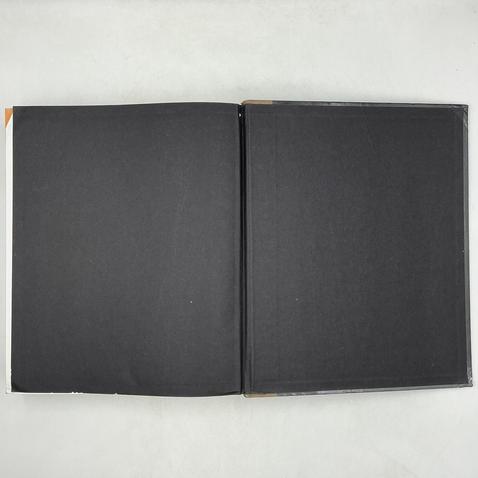 Campbell Biology Reece Urry Cain Wasserman 2014 10th Edition Black HC Pearson