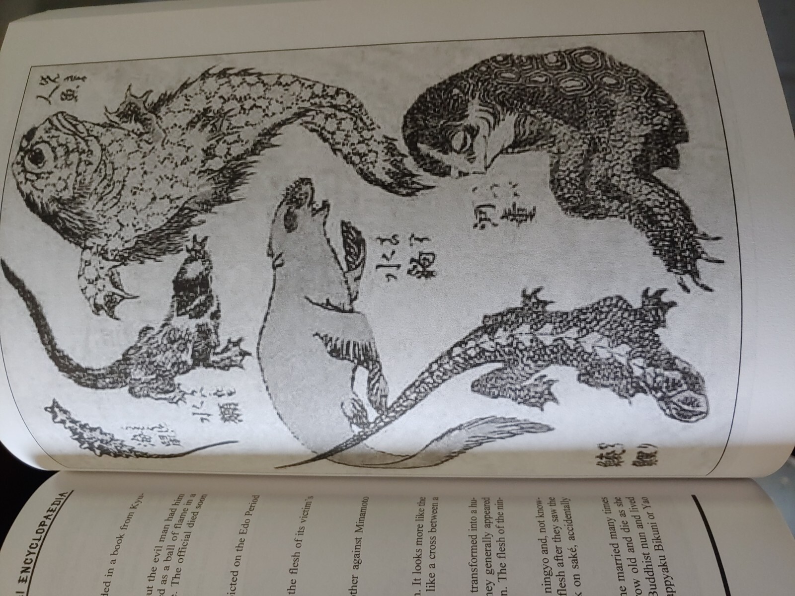 Great Yokai Encyclopaedi by Richard Freeman (2010, Trade Paperback)