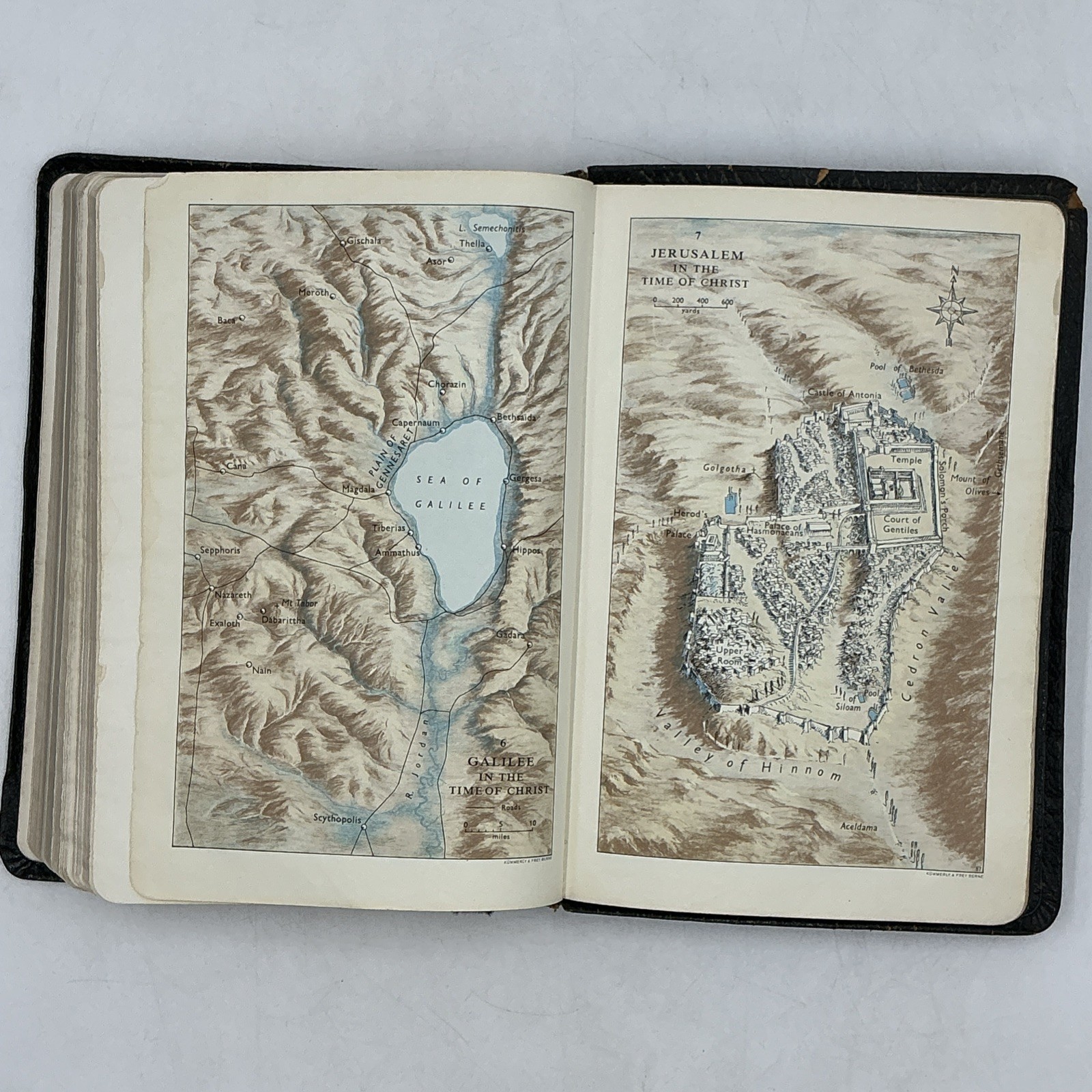 Cambridge Holy Bible Concordance KJV Cameo Morocco Leather Lined India Paper