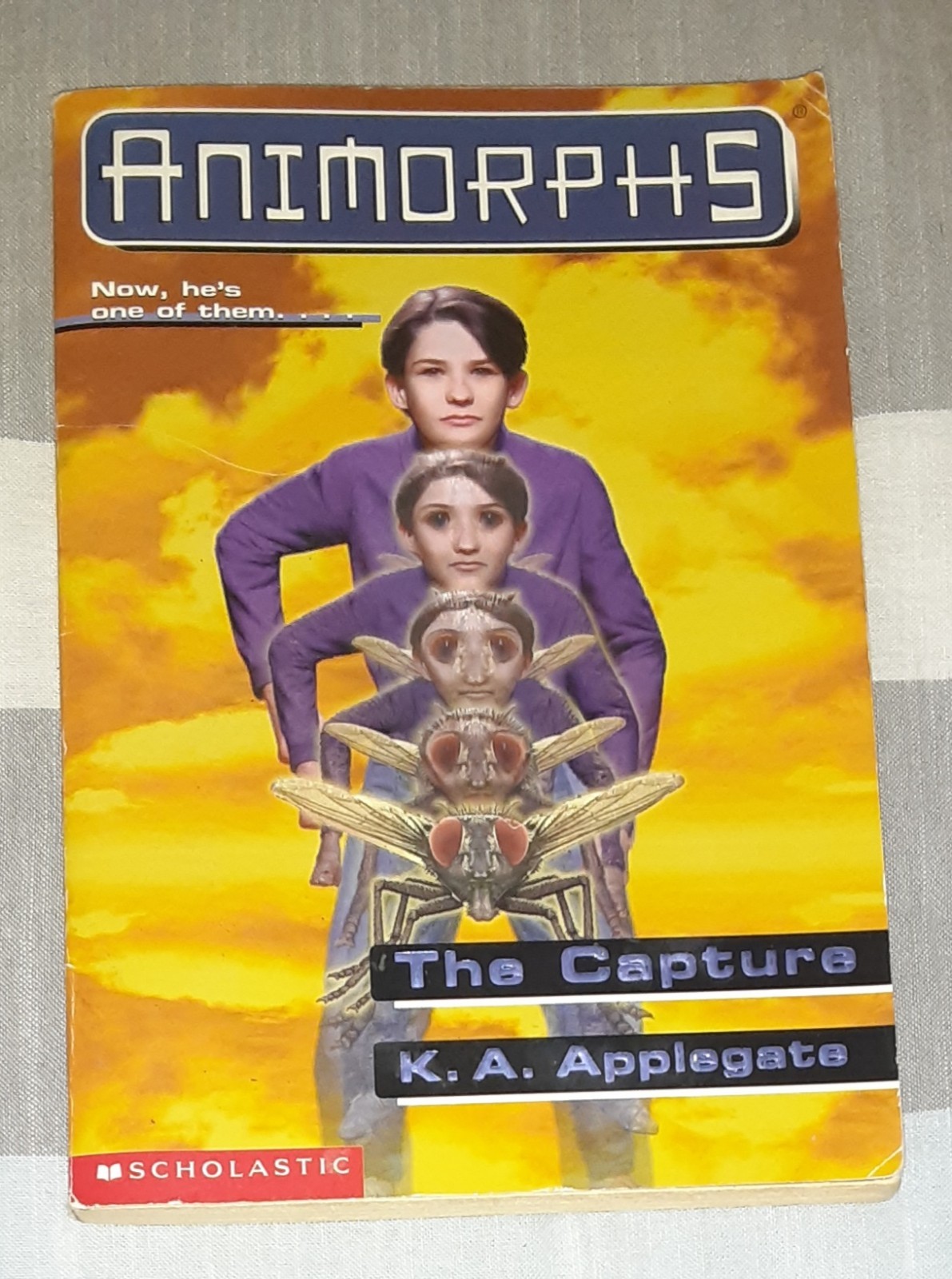 Animorphs Book Lot of 21 (K.A. Applegate, Paperback)