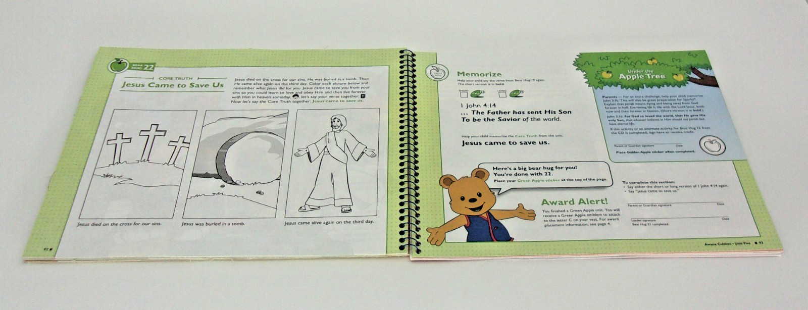 Awana Clubs Cubbies-HoneyComb with CD-95455, ESV