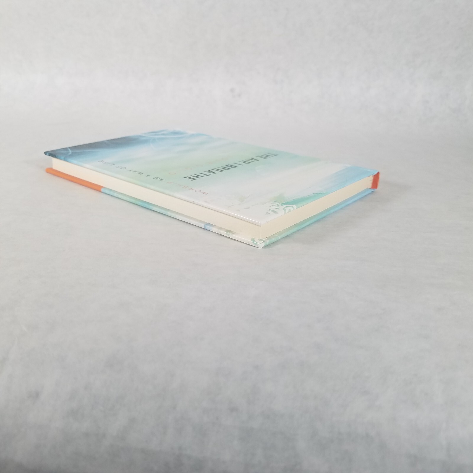 The Air I Breathe: Worship As a Way of Life – Hardcover by Louie Giglio LIKE NEW