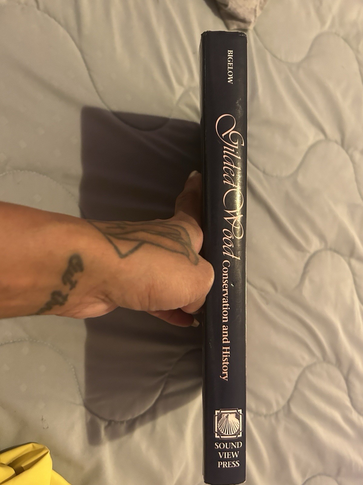 RARE Limited Edition Gilded Wood: Conservation And History 1991 HCDJ