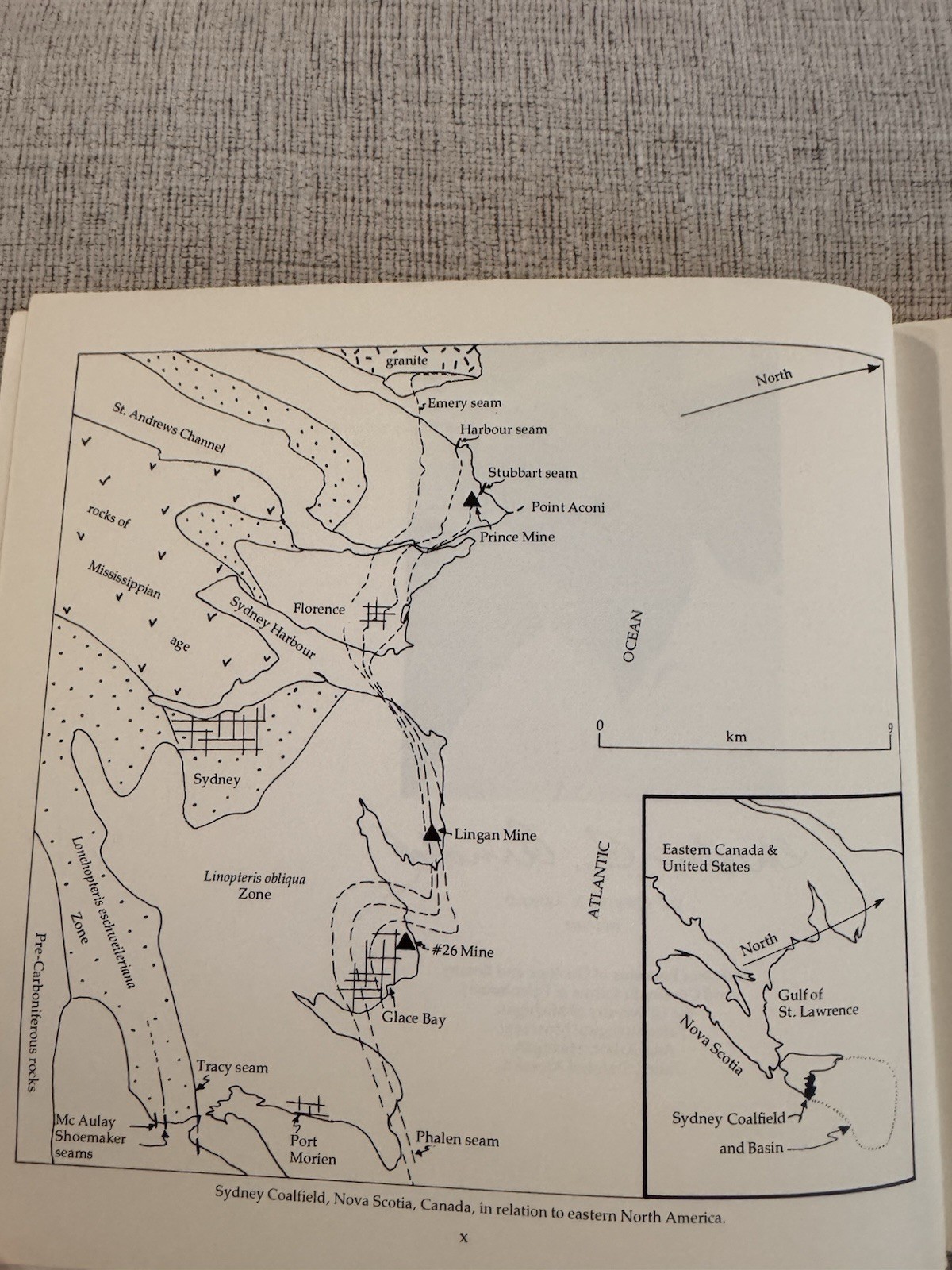Upper Carboniferous Fossil Flora Nova Scotia Paleobotany Museum Monograph 1980