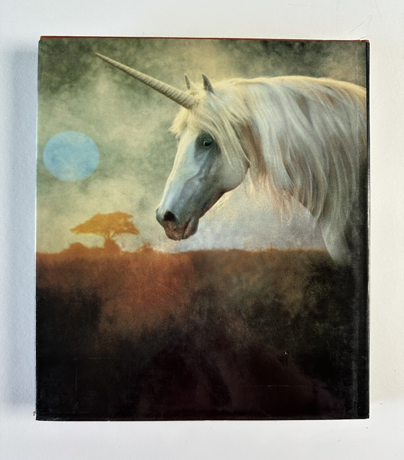 The Unicorns of Kilimanjaro by Robert Vavra First Edition fantasy photography
