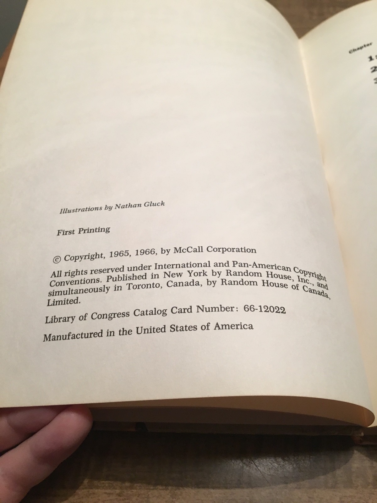McCall’s BARBECUE COOKBOOK 300 Illustrated Recipes 132 Pages 1st Hardcover 1965