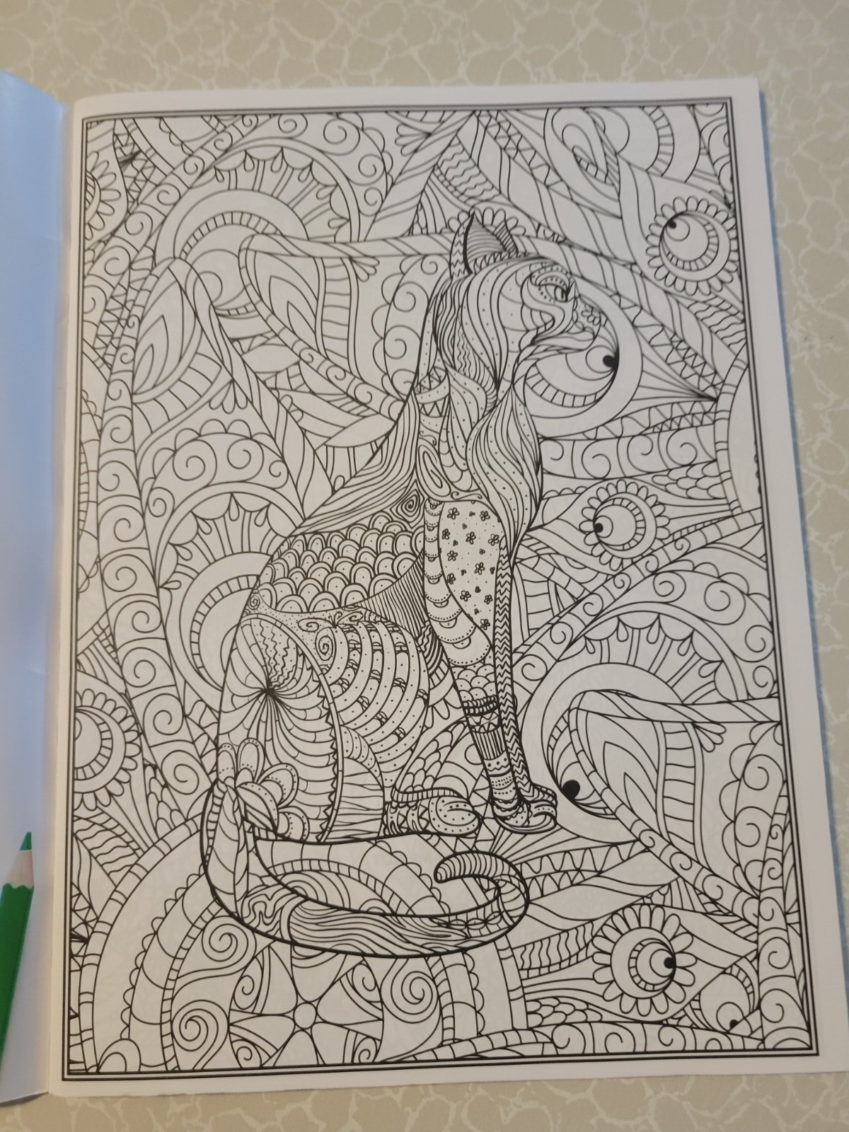 CAT COLORING – 32 Inspiring Designs for Adults -Relax & Enjoy -Escape & Breathe