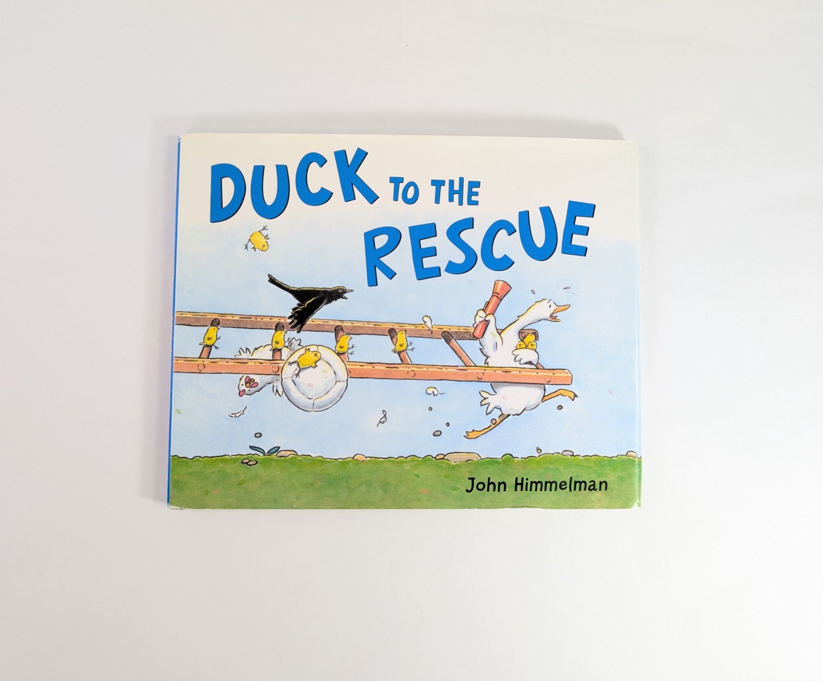 Duck To The Rescue John Himmelman Hardcover Book With Dust Jacket Kids Book