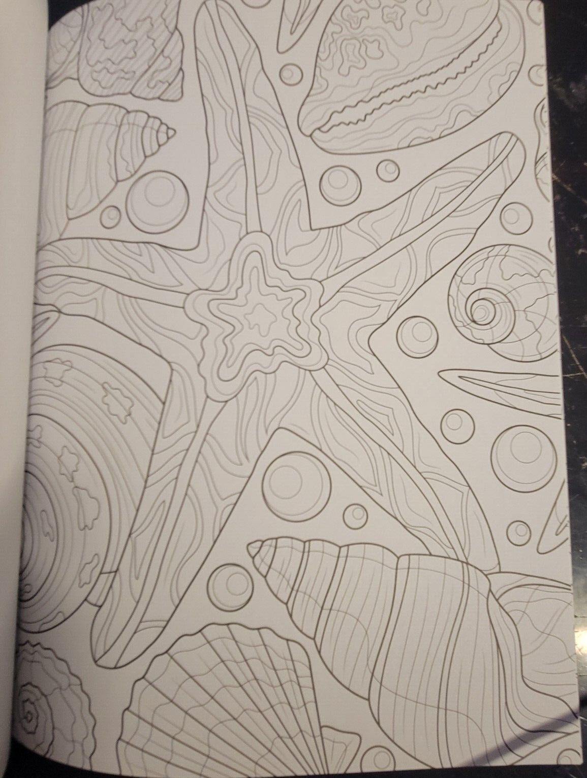 COLOR ME MAGNIFICENT Vol 12 Adult Coloring Book With 47 Prints Ready To Frame