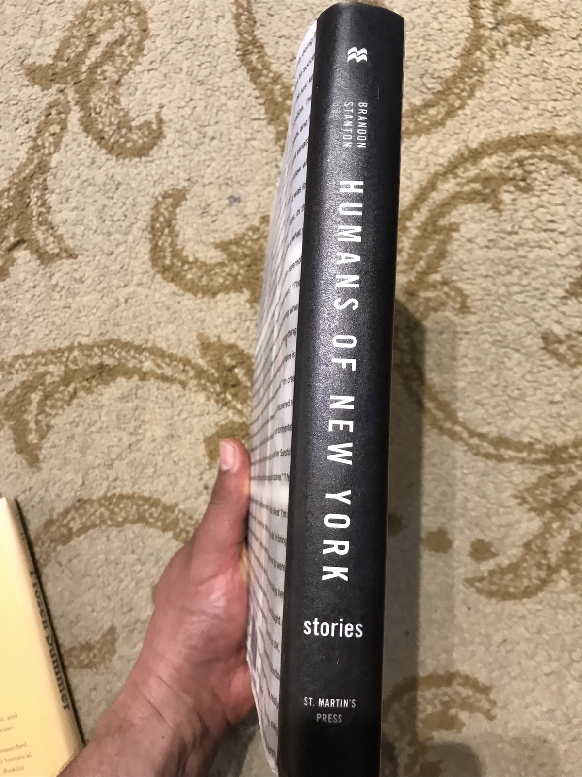 Humans of New York: Stories by Brandon Stanton (2015, Hardcover)
