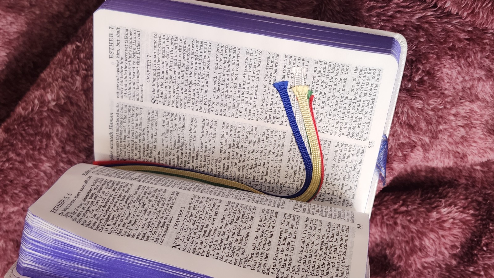 HOLY BIBLE * OES – Holman Edition KJV 5.5″x3.5″ – Eastern Star
