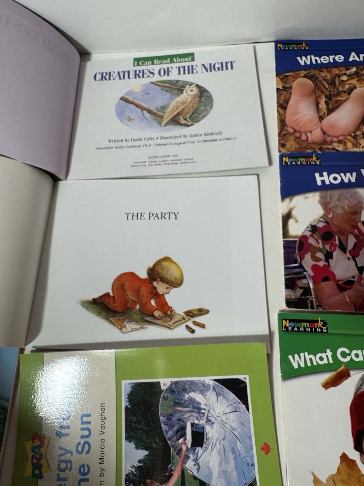 Newmark Learning Dynamics Readers I Can Read About Phonics Easy Read Child Lot