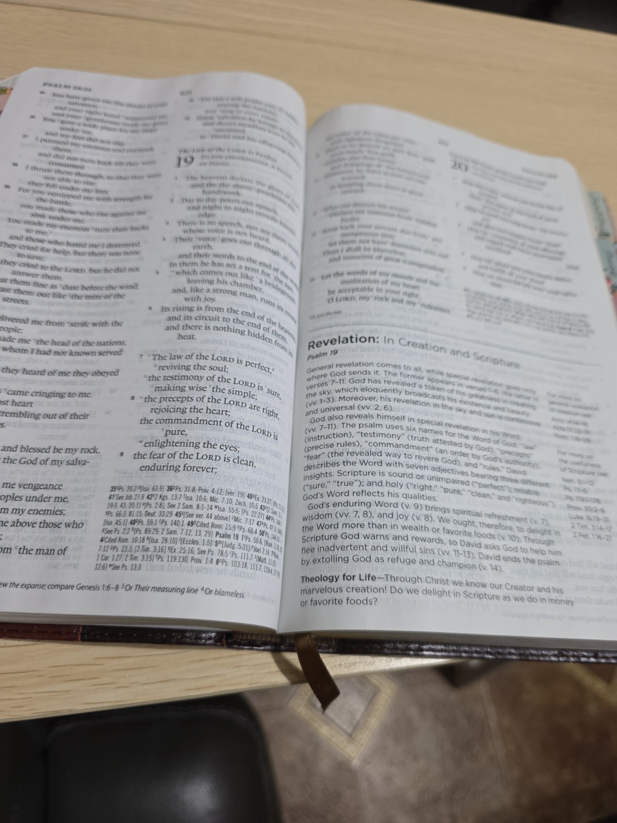 ESV Systematic Theology Study Bible (TruTone, Brown/Cordovan, Portfolio Design)