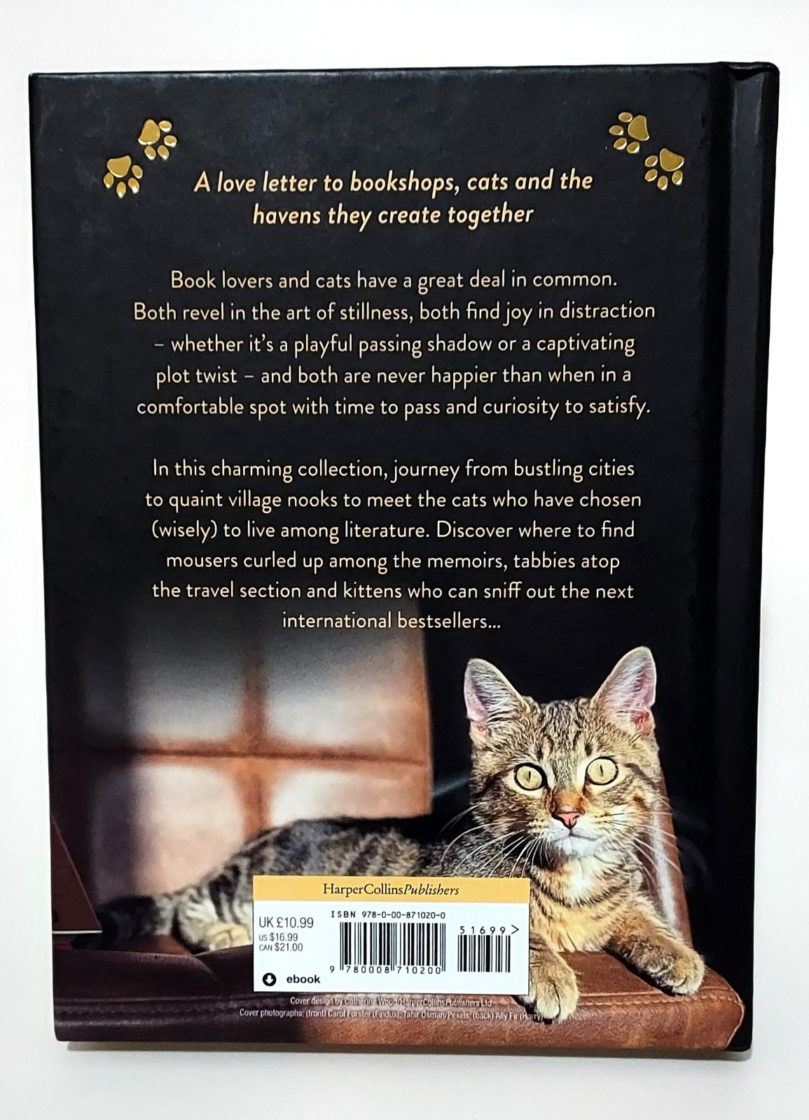 Bookshop Cats by Daphne du Maurier Hardcover Book Like New Literary Collection