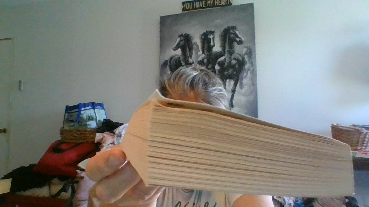 Wet & Wild Paperback Novel by Sandra Hill 374 pages Viking/Navy Seal