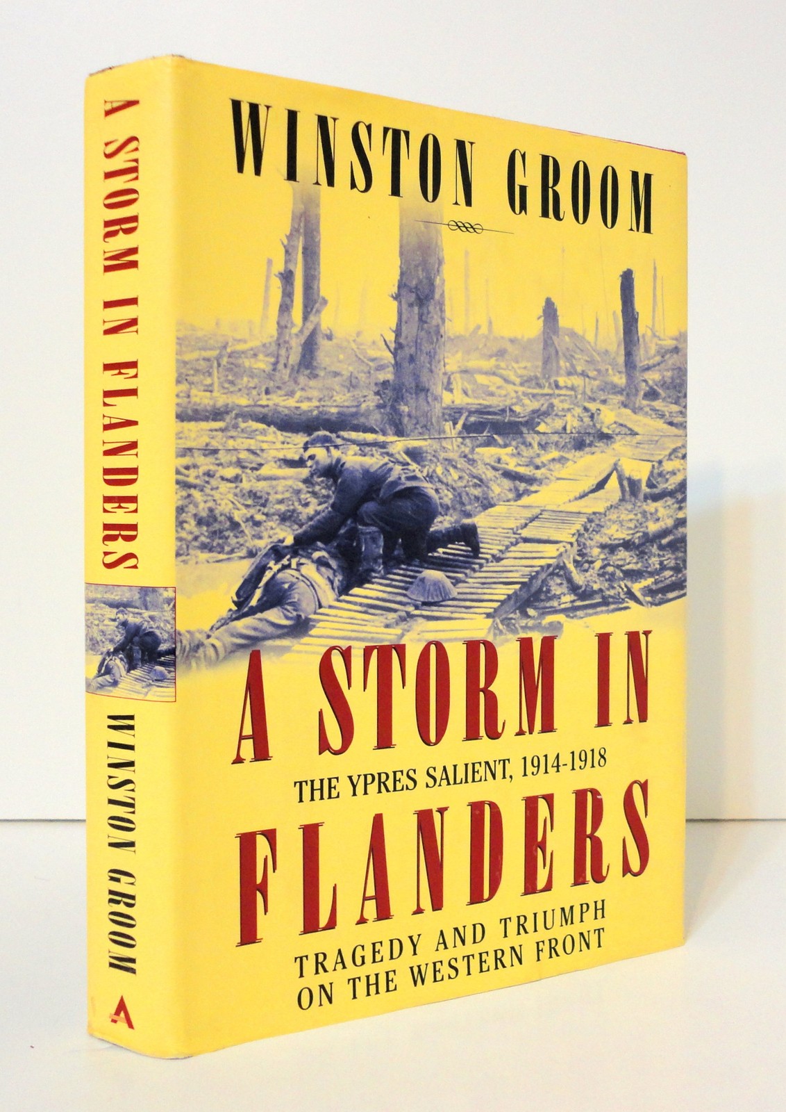 A Storm in Flanders: The Ypres Salient, 1914-1918: Tragedy and Triumph on th…