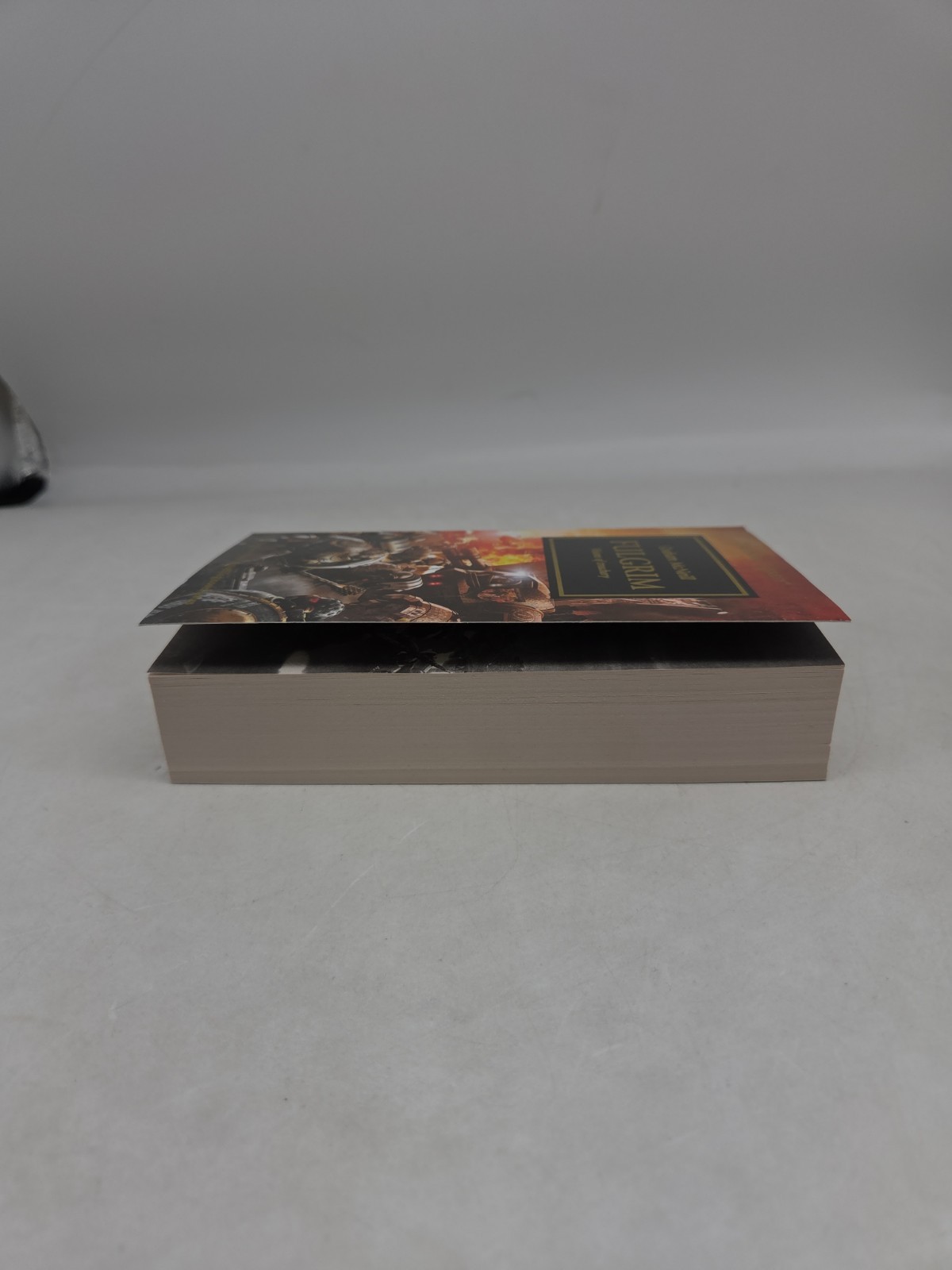 The Horus Heresy Fulgrim Graham McNeill, Paperback, Warhammer 40k, Black Library