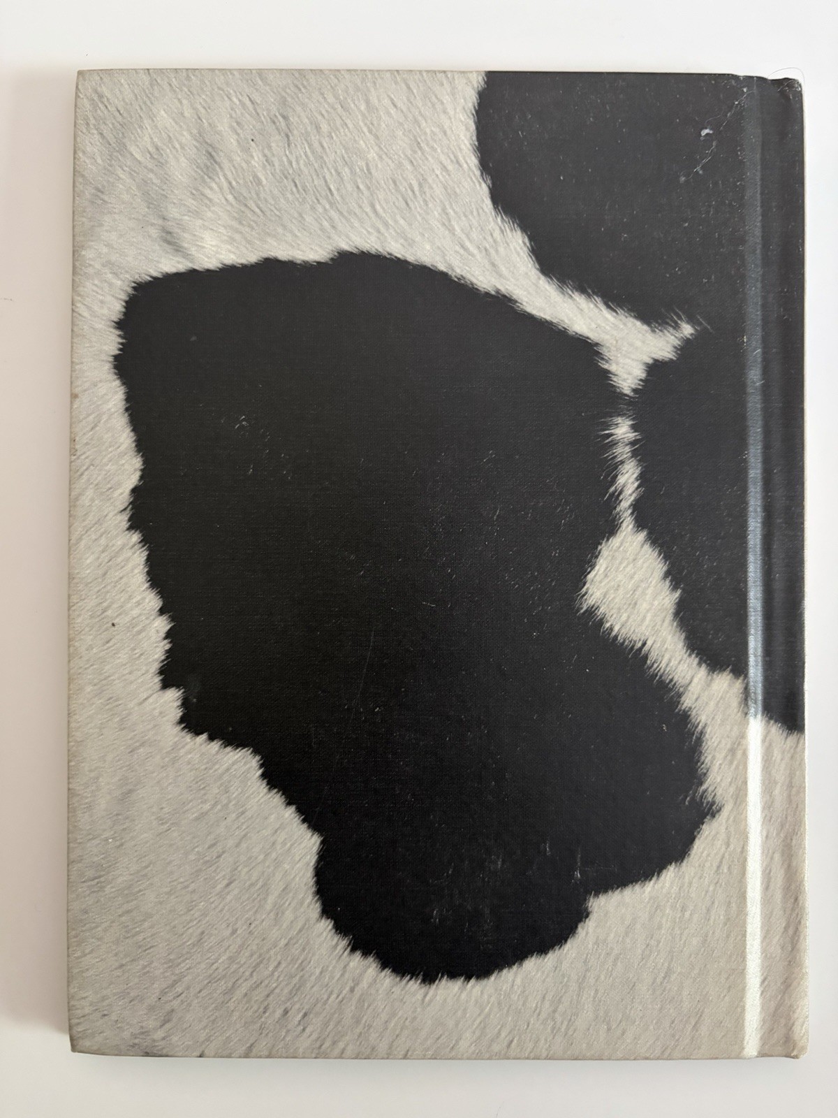 Pony Rider by Edna Walker Chandler 1966 FIRST EDITION Hardcover Hardback Book