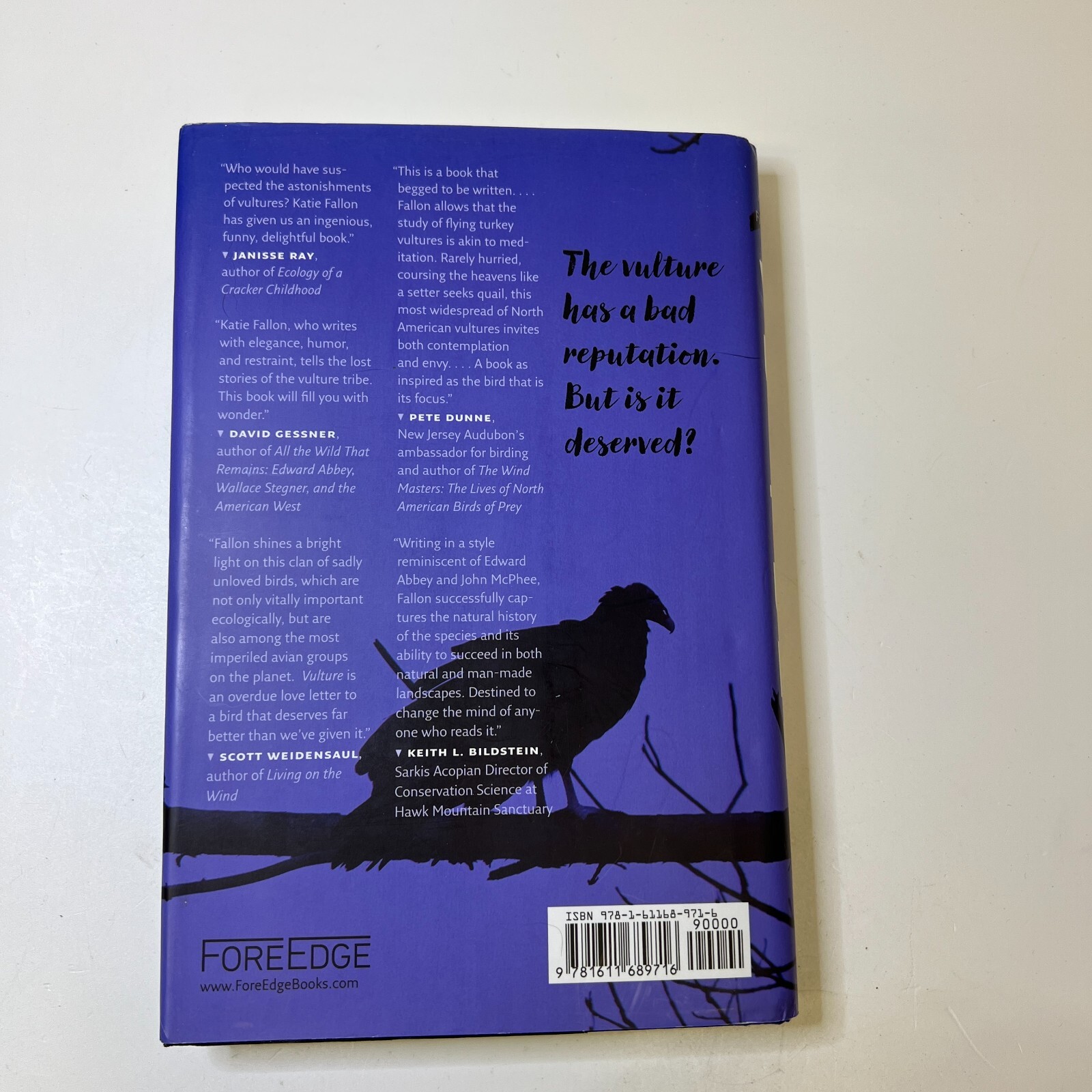 Vulture The Private Life of an Unloved Bird Hardcover Katie Fal