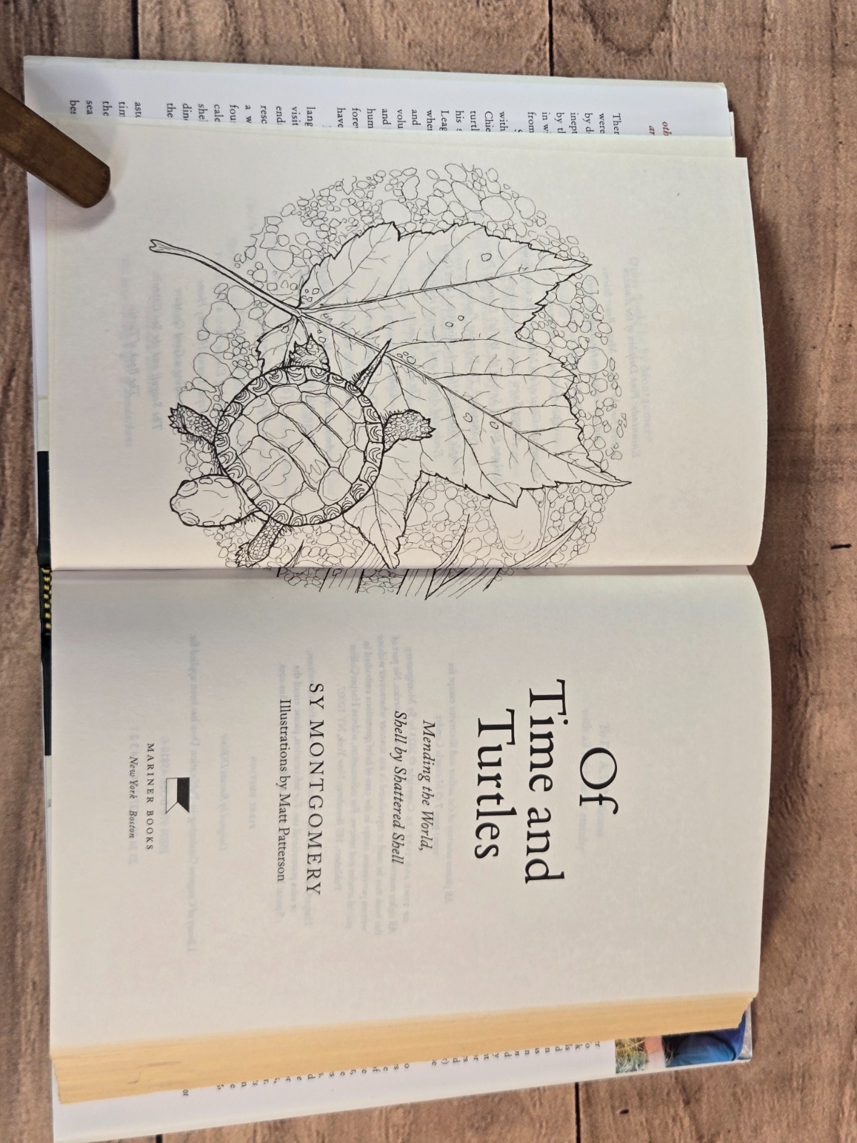 Of Time And Turtles: Mending The World, Shell By Shattered Shell Sy Montgomery