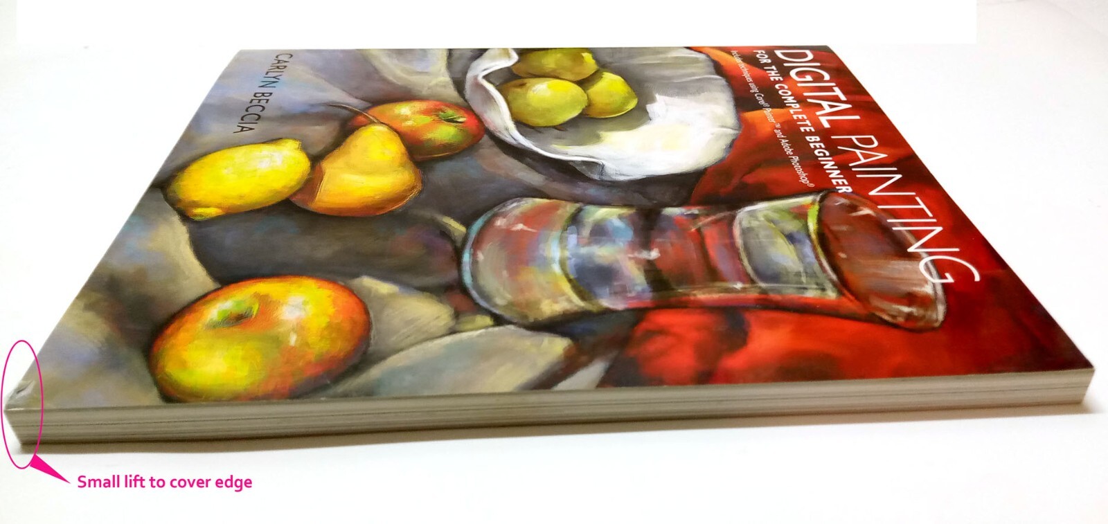 Digital Painting for the Complete Beginner – Paperback -USED