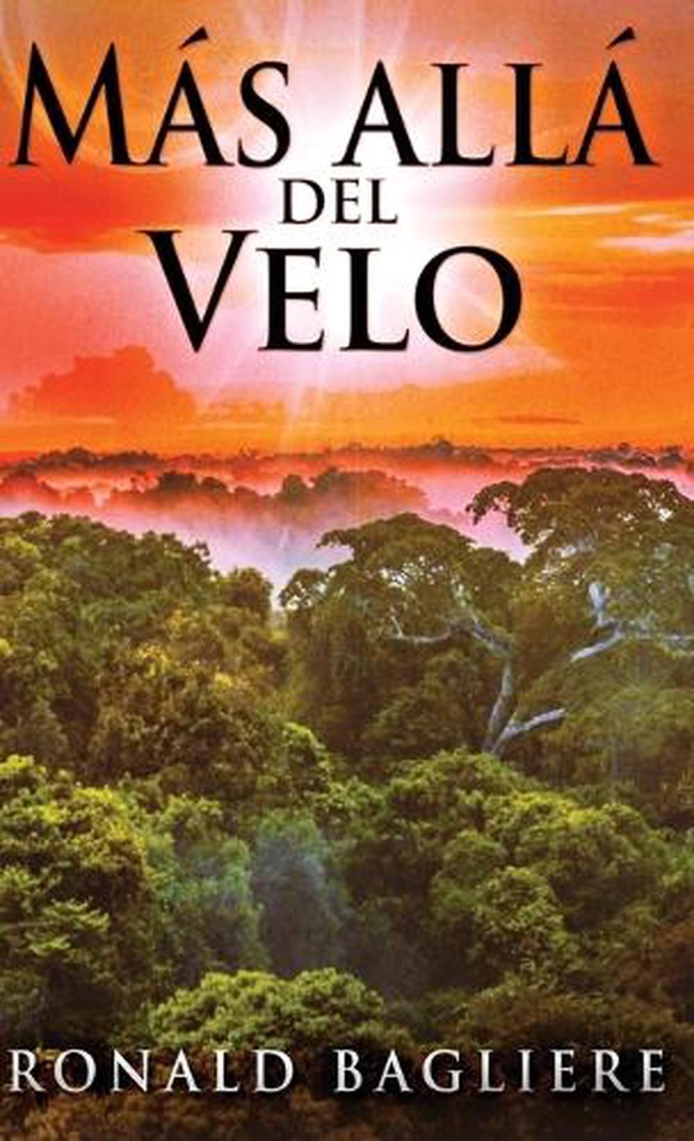 Ms all del Velo by Ronald Bagliere (Spanish) Hardcover Book