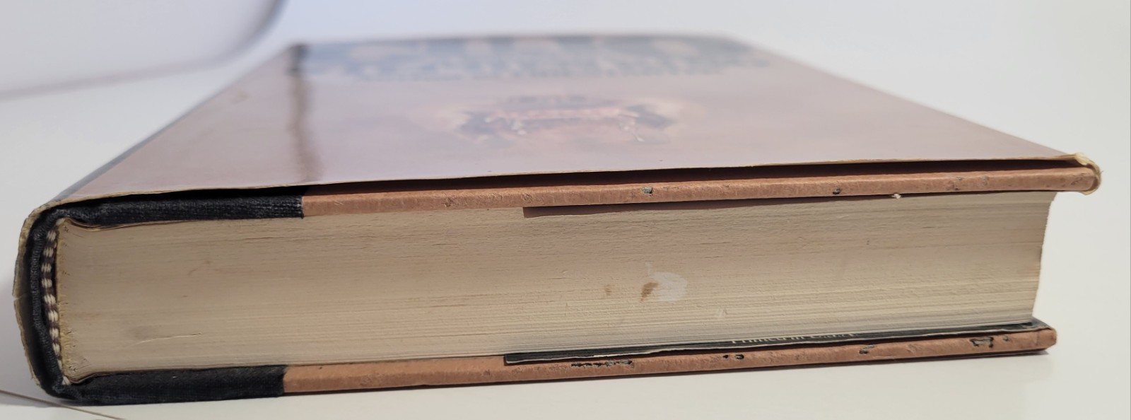 CUJO – Stephen King 1st Edition 1st Print 1981 Viking HC DJ $13.95 Unclipped