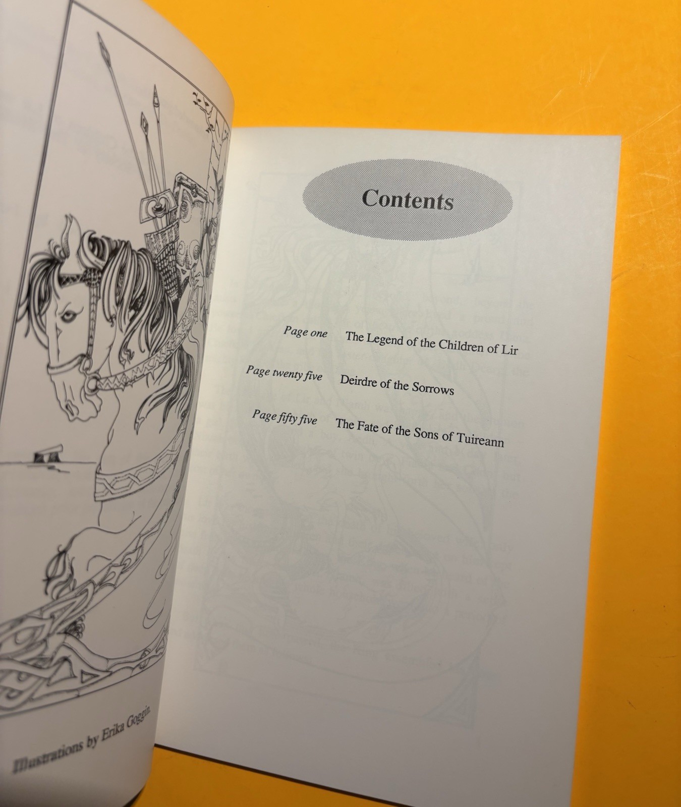 THE THREE SORROWS OF IRISH STORYTELLING By Thomas Campbell 1986 Ogham, Dublin