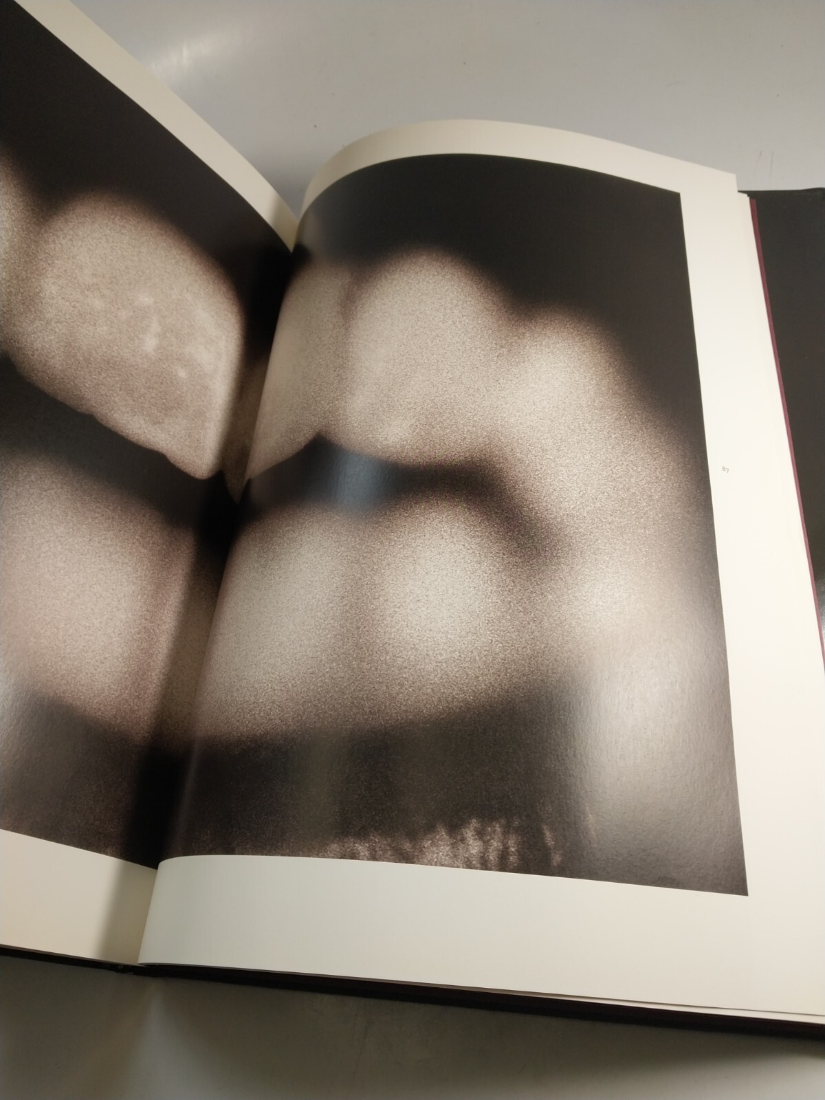 Humans by Henry Horenstein 2004 Fine Art Photography Signed Hardcover w/ DJ