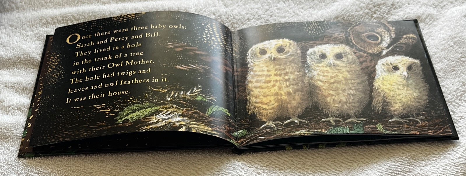 Owl🦉Babies📘Candlewick📀Storybook🥚Animations Book +DVD Martin Waddell FreeShip
