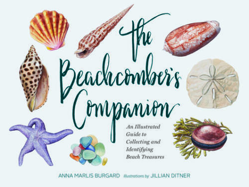 The Beachcomber’s Companion: An Illustrated Guide to Collecting and Ident – GOOD