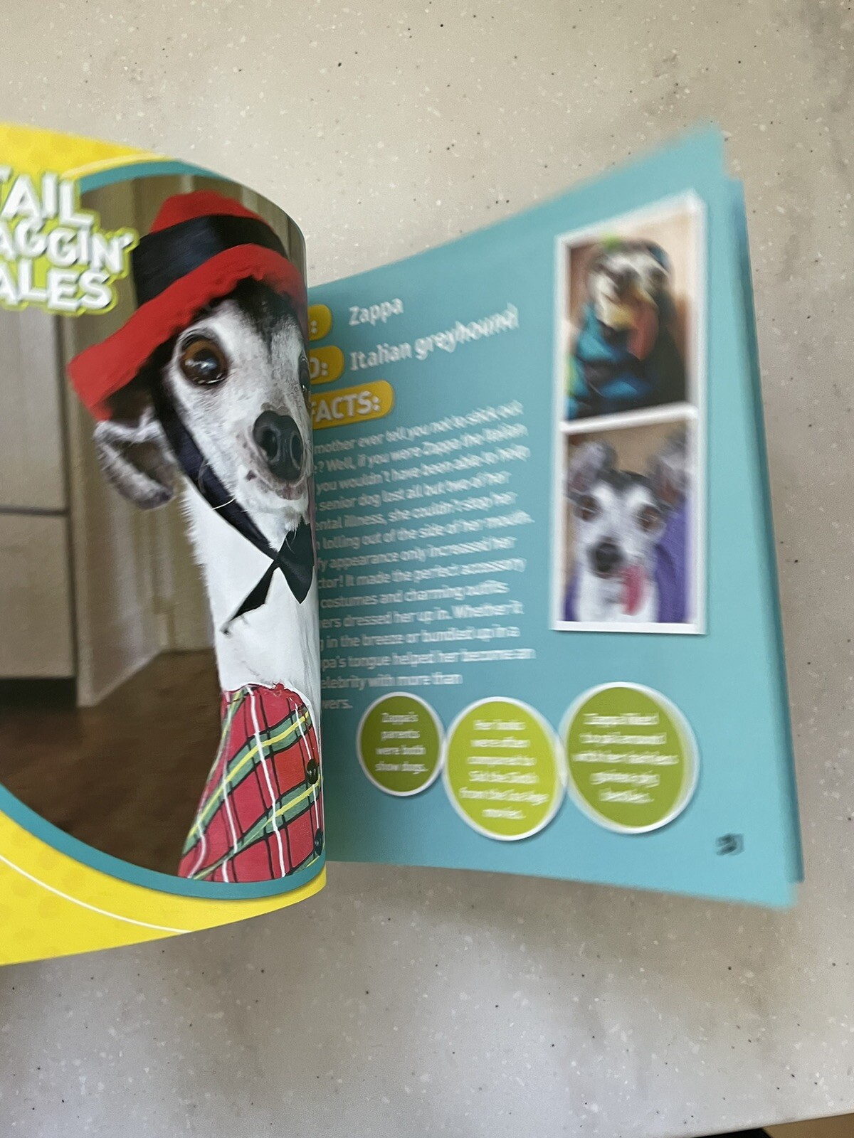 Just Joking Ser.: Just Joking Dogs by National Geographic Kids (2020, Trade…