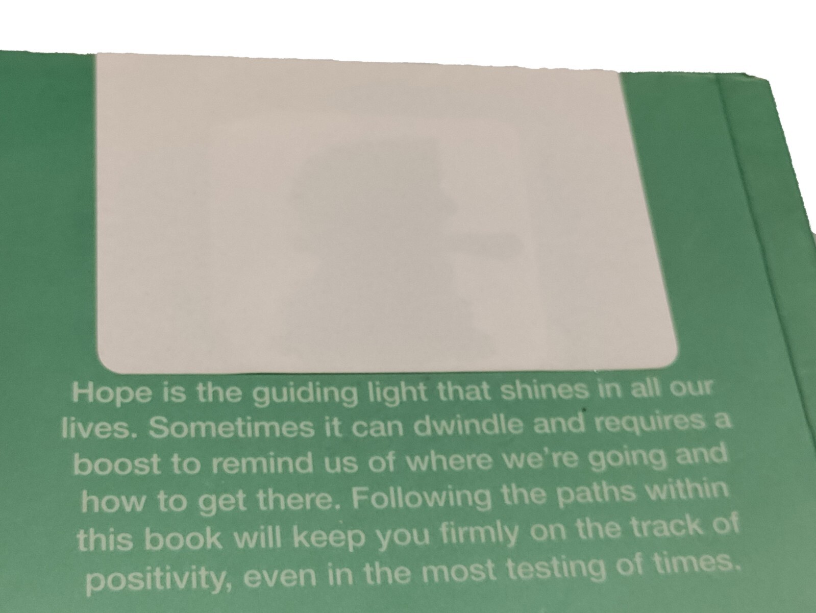 A Thousand Paths to Hope by Jane Garton: 466 Pages/Paths to Positivity of Hope