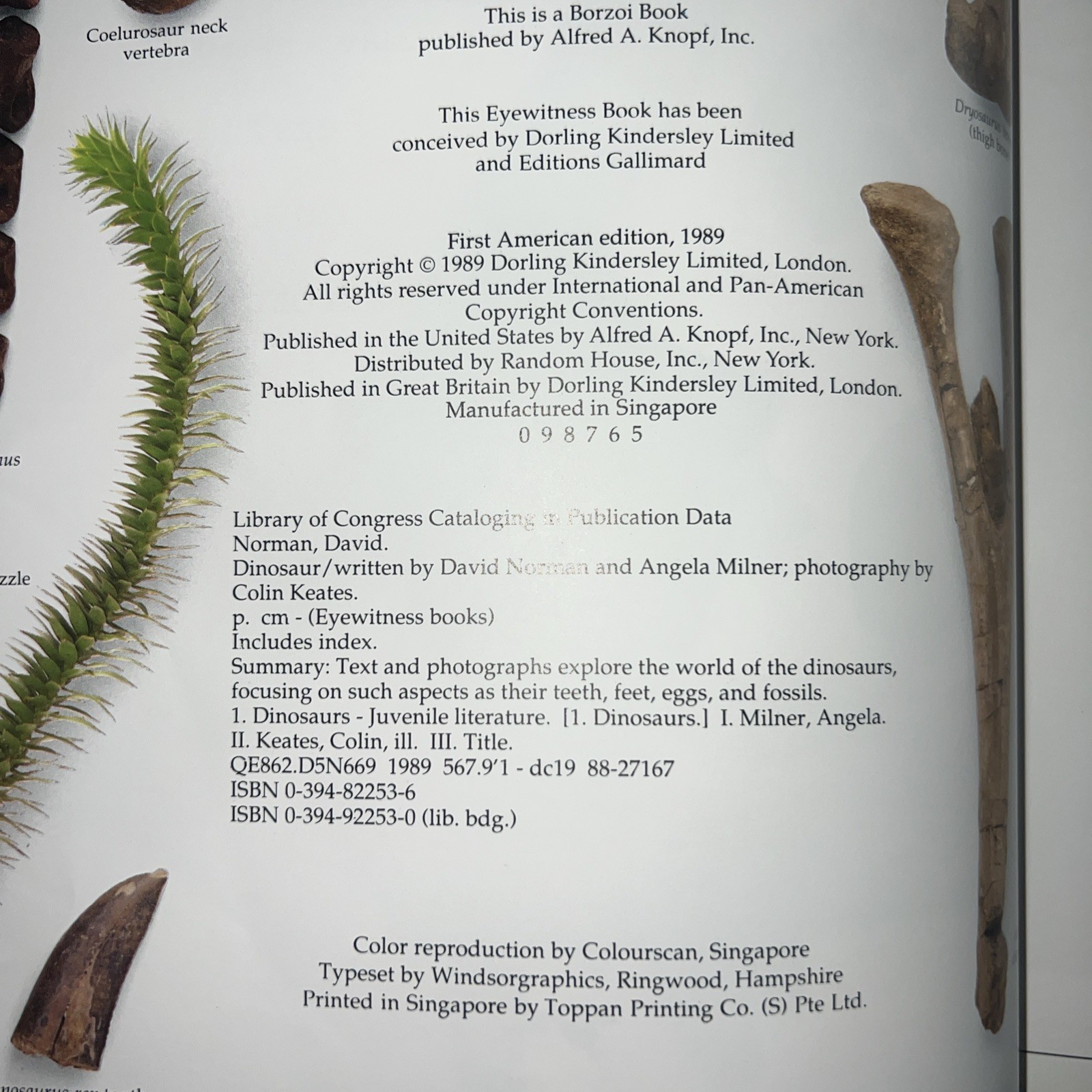 Vintage 1989 Dinosaur Museum Education Learning Book Hardcover