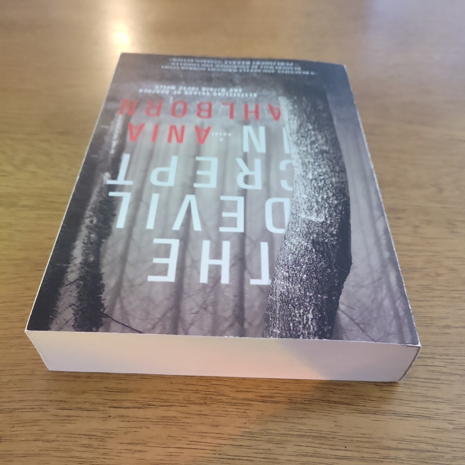 THE DEVIL CREPT IN – ANIA AHLBORN – Gallery Books Trade Paperback 2017