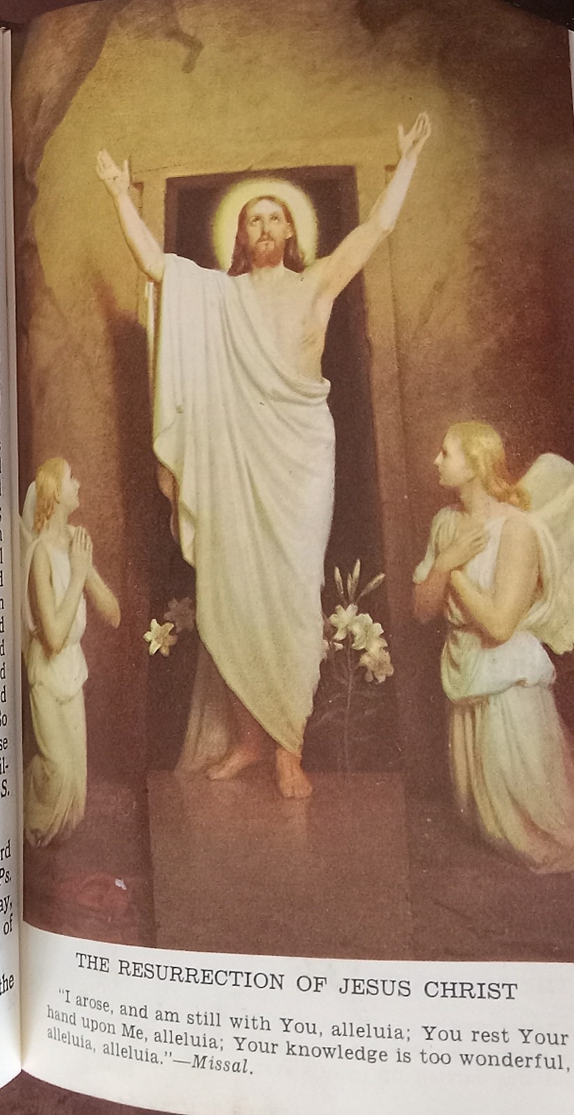 ANTIQUE CATHOLIC LATIN ENGLISH MISSAL; FINE BINDING; TLM BRIGHT GILT; CA.. 1961