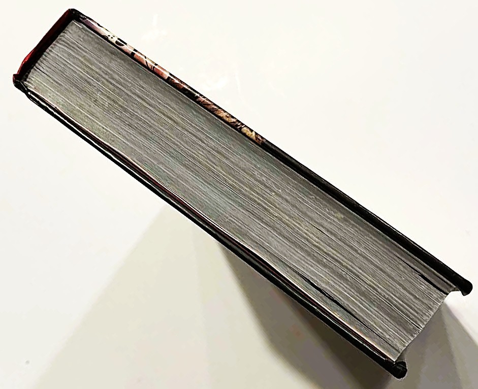 The Action Bible God’s Redemptive Story Sergio Cariello NEW Hardcover Print #16