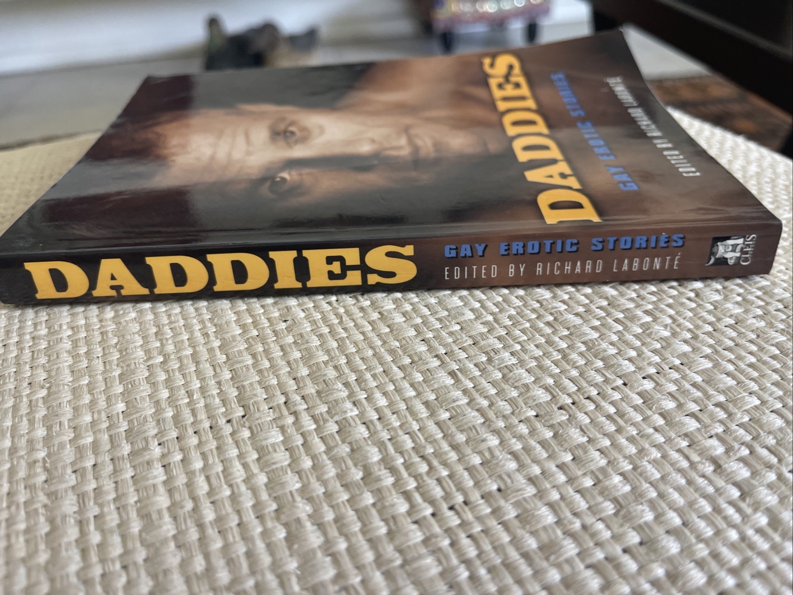 DADDIES – GAY EROTIC STORIES FIRST EDTION PAPERBACK RARE