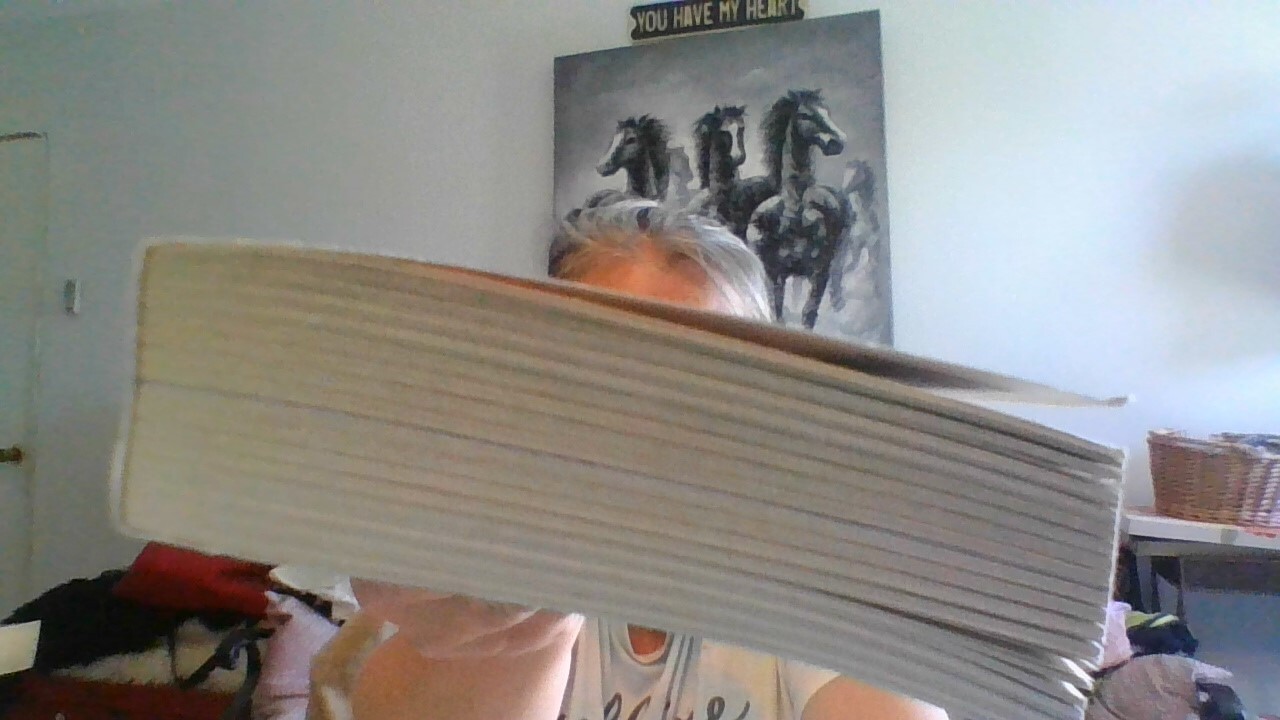 Wet & Wild Paperback Novel by Sandra Hill 374 pages Viking/Navy Seal