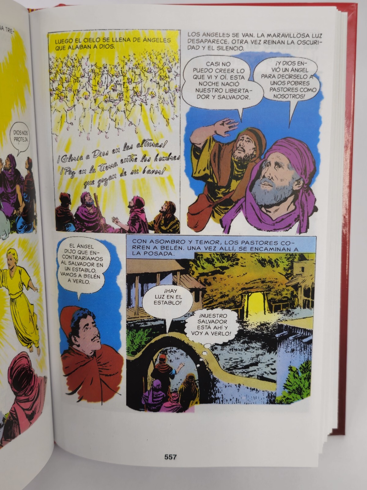 La Biblia Para Niños Y Jóvenes Ilustrado La Palabra De Dios A Todo Color Tapa D