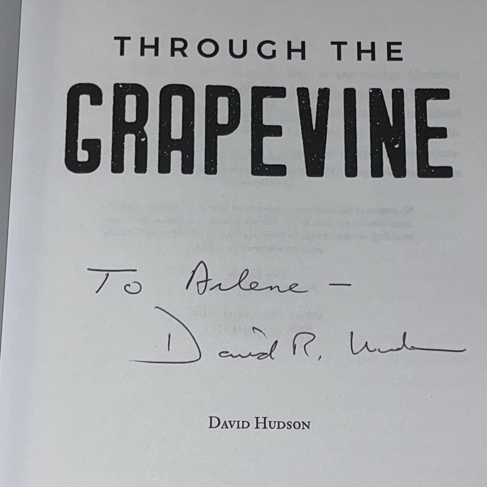 Through The Grapevine Novel David Hudson 2018 Palmetto Publishing *SIGNED*