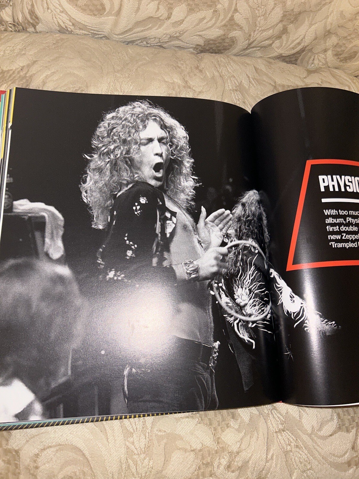 2019 LED ZEPPELIN The Biggest Band of the 1970s Chris Welch Hardcover