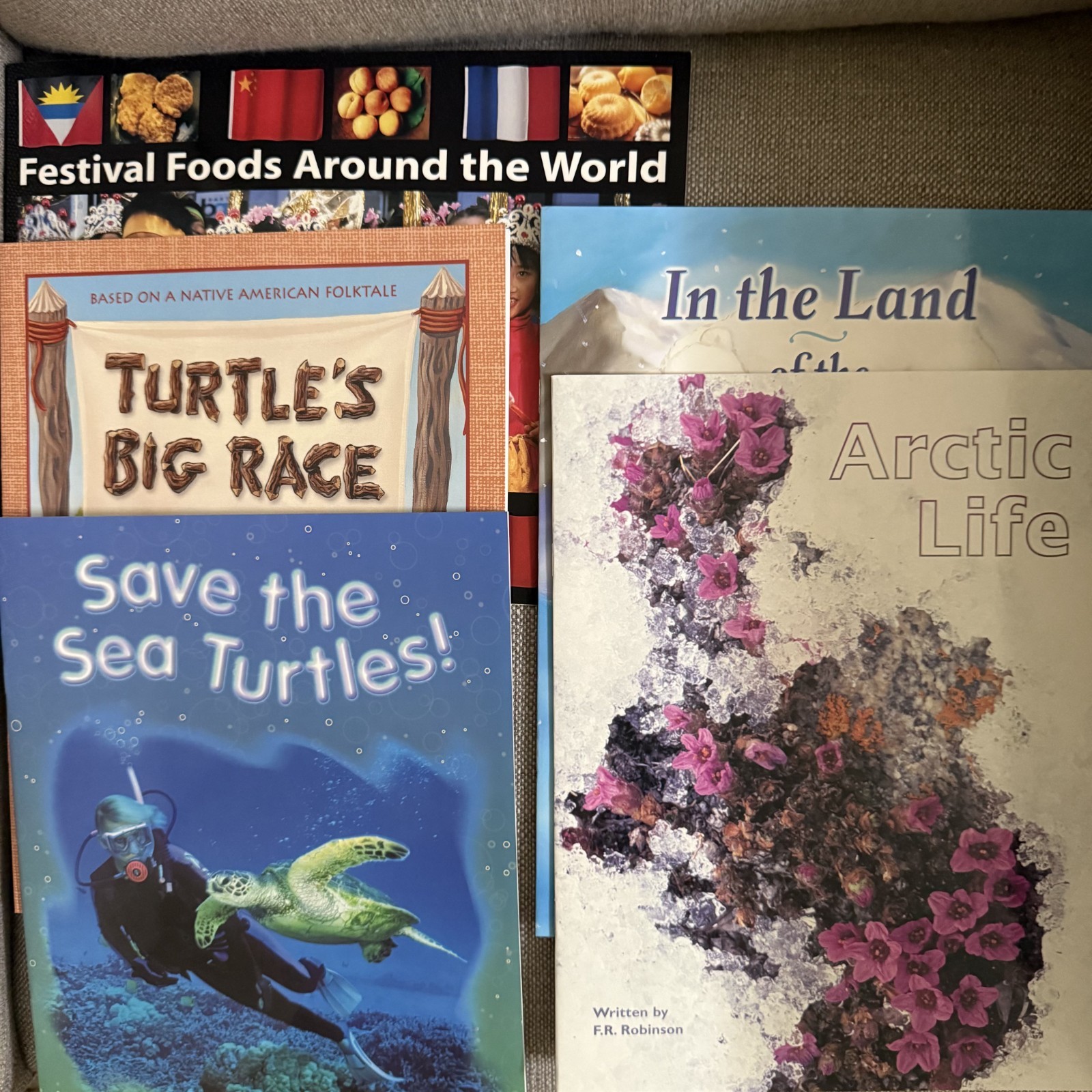 Steck Vaughn Transition Stage Classroom 2-3 Kit Teacher Guide 20 Books