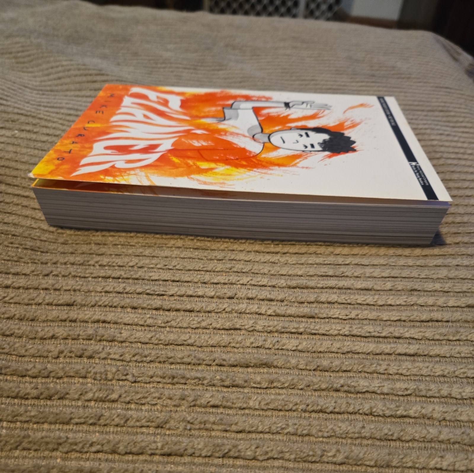 Flamer – Paperback By Curato, Mike – GOOD