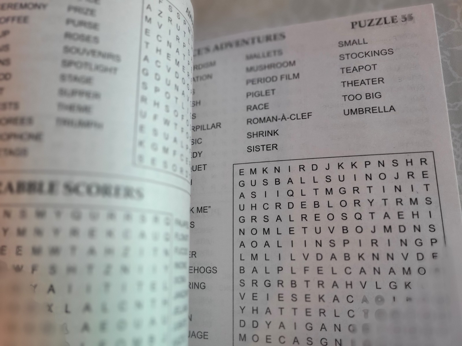 Kappa Word Seek Puzzles- Lot of 2-Extra Large & Blue Ribbon-For The Whole Family