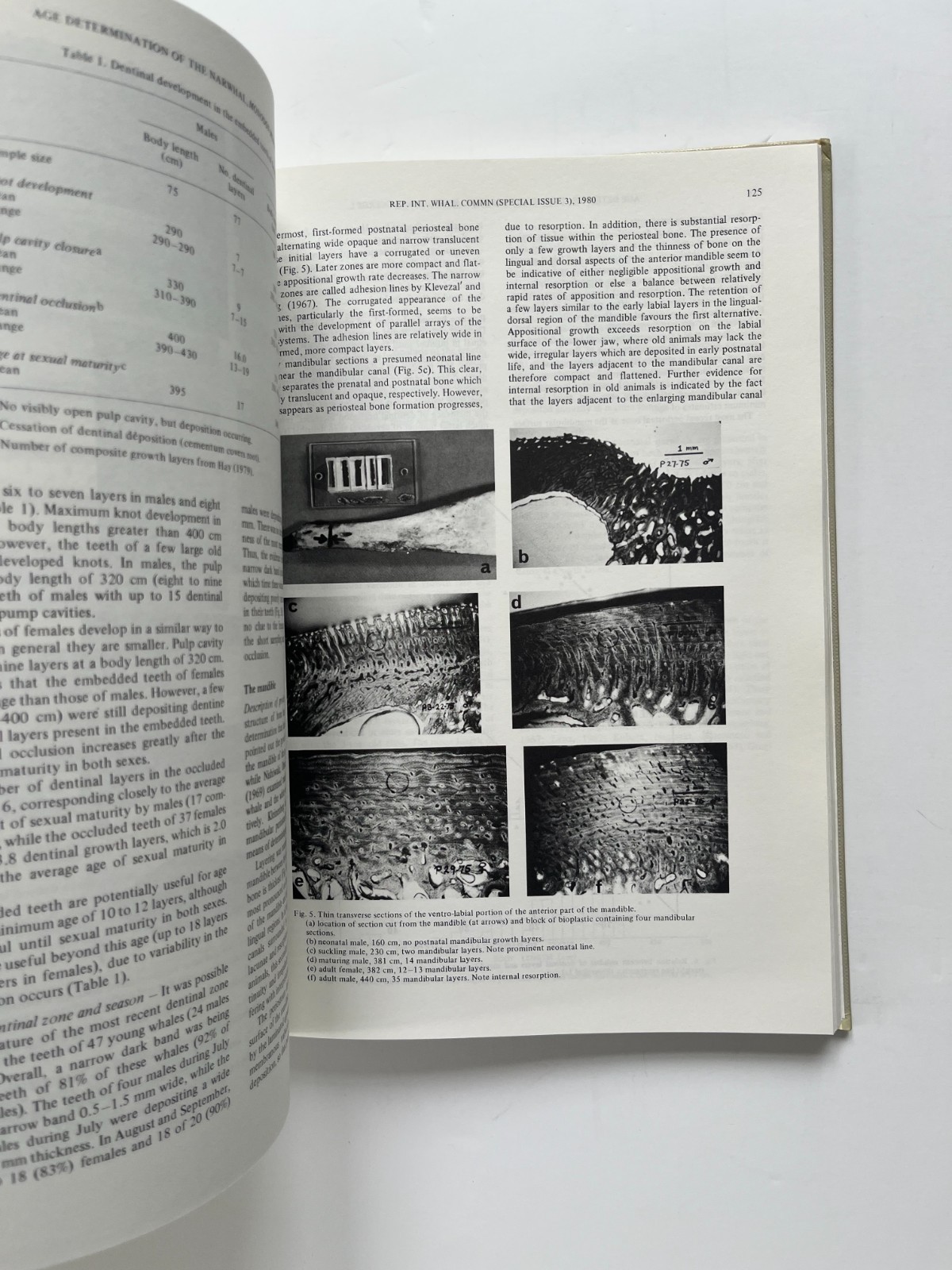 Age Determination of Toothed Whales and Sirenians ~ Whaling Commission 1980